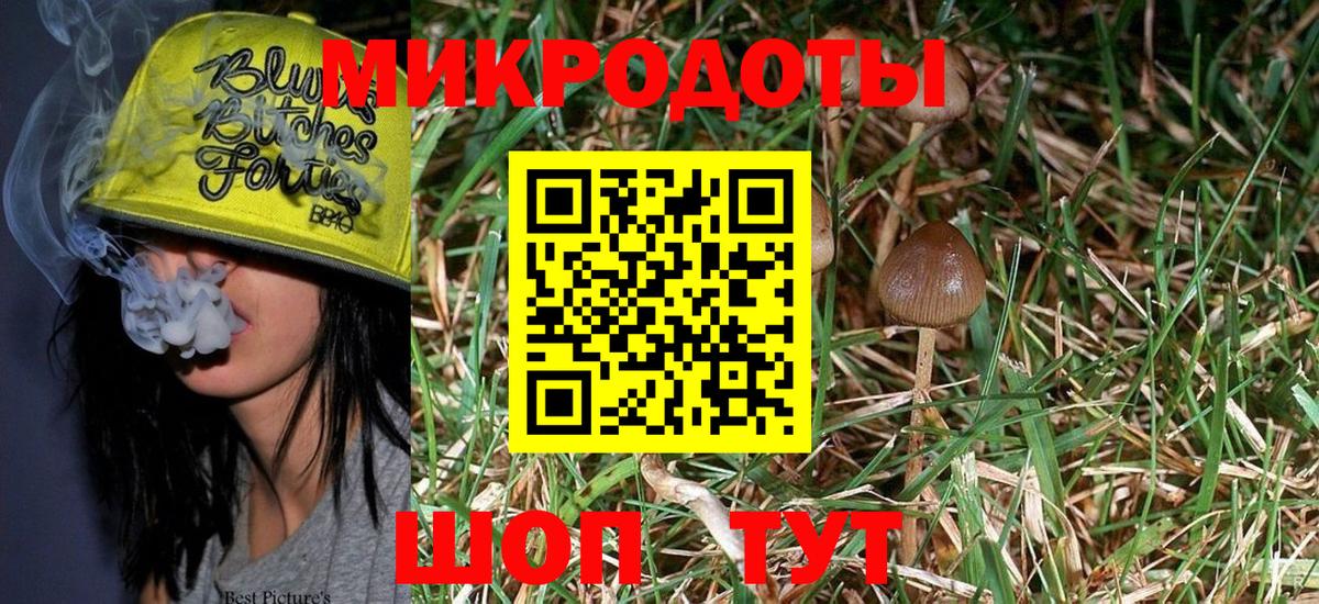 Галлюциногенные грибы Magic Shrooms Серпухов