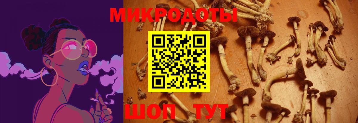 Псилоцибиновые грибы Magic Shrooms  Вход с VPN  Галлюциногенные грибы Psilocybe  Серпухов 